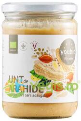YOUBIO Unt de Arahide Crocant fara Gluten Ecologic/Bio 500g