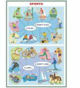 EURO-DLF Plansa Sports/The Human Head (DUO) - Plansa viu colorata, cu 2 teme distincte
