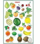 EURO-DLF Fruit/Vegetables and herbs (DUO) - Plansa viu colorata, cu 2 teme distincte