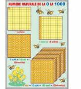 EURO-DLF Numere naturale de la 0-1000 / Operatii cu numere naturale (DUO) - Plansa cu 2 teme distincte