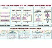 EURO-DLF Plansa structuri fundamentale de control ale algoritmilor/ Sisteme de numeratie - duo (INP4)