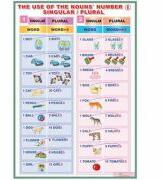 EURO-DLF The use of a nouns'number singular-plural I /The use of a nouns'number singular-plural II (DUO) - Plansa fata-verso