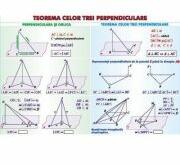 EURO-DLF Teorema celor trei perpendiculare/ Sfera circumscrisa corpurilor de rotatie - Plansa dubla (MP19)