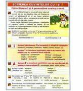 EURO-DLF Scrierea corecta a cuvintelor care contin i si a Pronumele (DUO) - Plansa cu 2 teme distincte (CP17)