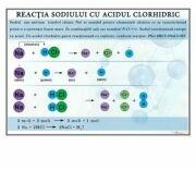 EURO-DLF Plansa - Reactia sodiului cu acidul clorhidric (CH14)