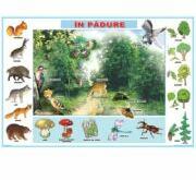 EURO-DLF In padure/Locuinte - Plansa cu 2 teme distincte