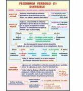 EURO-DLF Plansa dubla - Flexiunea verbului, diatezele/ Mijloace interne de imbogatire a vocabularului (LR12)