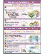 EURO-DLF Ortografierea grupurilor: i-a / ia si i-au/iau Scrierea cuvintelor care contin grupurile oa/ua/ua/ia/ea/ie (DUO) - Plansa cu 2 teme distinct (CP12)