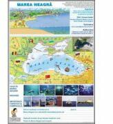 EURO-DLF La mare / Biblioteca (DUO) - Plansa cu 2 teme distincte (CP7)