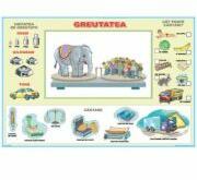 EURO-DLF Greutatea / Inaltimea si adancimea (DUO) - Plansa cu 2 teme distincte