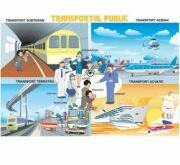 EURO-DLF Transportul public / Pericolele strazii (DUO) - Plansa cu 2 teme distincte