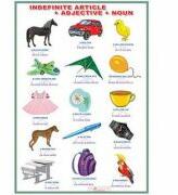 EURO-DLF The use of the indefinite article/The demonstrative pronouns (DUO) - Plansa viu colorata, cu 2 teme distincte