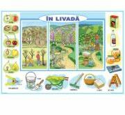 EURO-DLF In livada / La zoo - Plansa cu 2 teme distincte