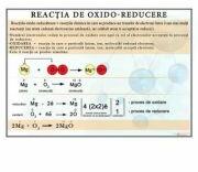 EURO-DLF Plansa - Reactia de oxido-reducere (CH17)