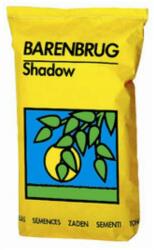 BARENBRUG Seminte Gazon Shadow(25%FRC+40%FRR+10%PP+FT 15%) BARENBRUG 15 kg (HCTS00289)