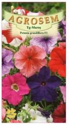 AGROSEM Seminte Flori Petunia H. Grandiflora F2 AGROSEM 0.01 g (HCTA00527)