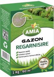 AMIA Seminte Gazon REGARNISIRE AMIA 1 Kg (HCTA00161)