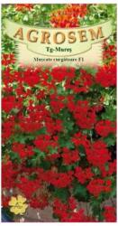 AGROSEM Seminte Flori Muşcate curgătoare roşii F1 AGROSEM 3 sem (HCTA00526)