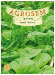 AGROSEM Seminte Spanac Matador TRATAT AGROSEM 100 g (HCTA00640)