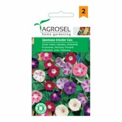 AGROSEL Seminte flori Zorele melanj Agrosel 2 g (HCTA00956)