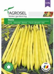 Agrosel Seminte Fasole Ileana Agrosel 35 g (HCTA00996)