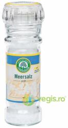 LEBENSBAUM Sare de Mare Neiodata in Rasnita 100g