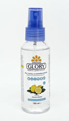 Glory kéz-eszköz és felület fertőtlenítő 100 ml - mamavita