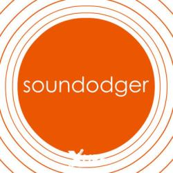 Adult Swim Games Soundodger+ (PC)