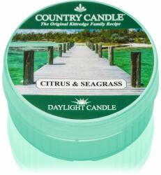 The Country Candle Company Citrus & Seagrass lumânare 42 g