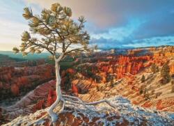 EUROGRAPHICS - Puzzle Sunrise in Grand Canyon - 1 000 piese