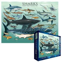 EUROGRAPHICS - Puzzle Sharks 2 - 1 000 piese