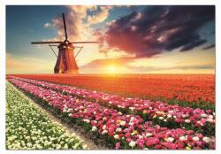 Educa - Puzzle Tulips landscape - 1 500 piese