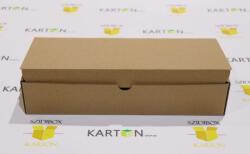Szidibox Karton Csomagoló doboz, önzáró, postai kartondoboz 315x220x48mm barna (SZID-00649)