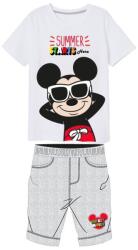 EPlus Set tricouri și pantaloni de vară pentru băieți - Mickey Mouse gri Mărimea - Copii: 128