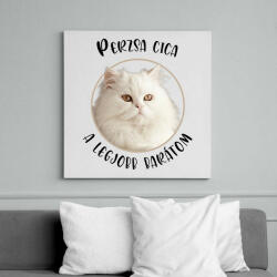 printfashion Perzsa cica - Legjobb barát - Vászonkép - Fehér (7169988)