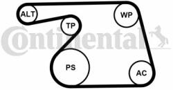 Continental Ctam Set curea transmisie cu caneluri CONTINENTAL CTAM 6PK1318K2 (6PK1318K2)