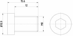 TEXTAR Surub, disc frana TEXTAR TPM0009 (TPM0009) - automobilus