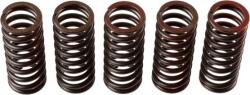 TRW Set arc ambreiaj TRW MEF304-5 (MEF304-5)