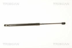 TRISCAN Amortizor portbagaj TRISCAN 8710 29287 (8710 29287) - automobilus