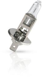 Philips Bec, far faza lunga PHILIPS MasterDuty BlueVision 13336MDBVB1 (13336MDBVB1)