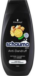 Schauma Șampon pentru bărbați Intensive cu ghimbir - Schauma Anti-Dandruff Intensive Shampoo Men 400 ml