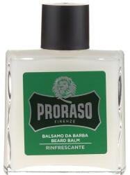 Proraso Balsam pentru barbă - Proraso Beard Balm 100 ml