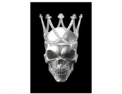 Tablou Sticla Skull II 80X120