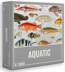 Cloudberries Aquatic 1000 db-os