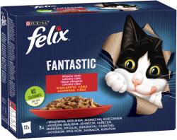 FELIX Fantastic Homemade Selection in aspic 12x85 g