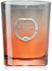 Maison Berger Paris Dare Cotton Caress lumânare parfumată 180 g