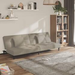 vidaXL Canapea extensibilă cu 2 locuri, 2 perne, gri deschis, catifea (337440) Canapea