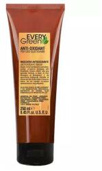 Everygreen Mască antioxidantă pentru păr - EveryGreen Antioxidant Hair Mask 500 ml
