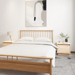 vidaXL Noptiere, 2 buc. , 35x34x32 cm, lemn masiv de pin (813396)