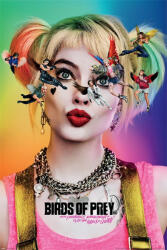 Pyramid posters плакат Birds of pray - DC COMICS - PYRAMID POSTERS - PP34590